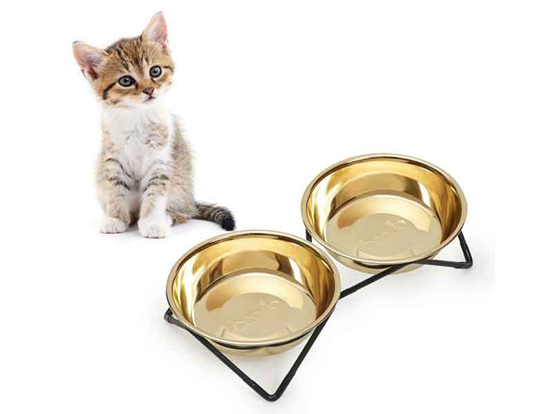 Cat bowl shape 